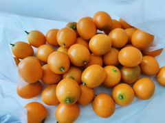 金桔-北京清河镇农副产品交易市场中心