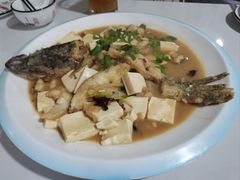 -煲来饱去冷水鱼