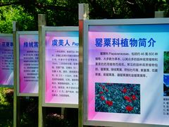 -国家植物园南园