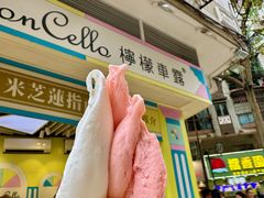 -柠檬车露(卖草地店)