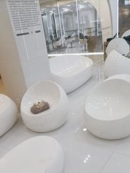 -东方麒麟·潘多拉SALON