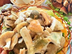 -菌海森林·非遗野生菌火锅(西山区滇池路摩根道店)