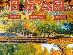 -沉浸北京·团建旅行·密室剧本杀·年会会议轰趴拓展