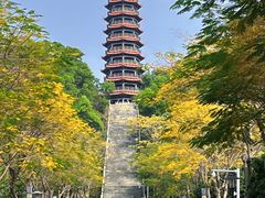 -红花山公园