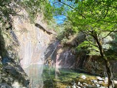 -花岩国家森林公园