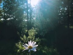 -敕勒川草原文化旅游区