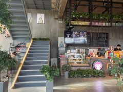 -了不起的考拉咖啡店(高新店)