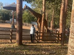 -大连森林动物园