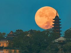 -唐宫足道·SPA·影院会馆(木渎店)