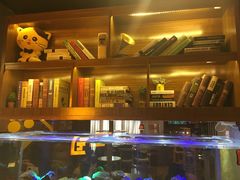 -喵园·猫主题咖啡厅·撸猫·猫咖(国贸店)