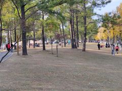 -美兰湖景区