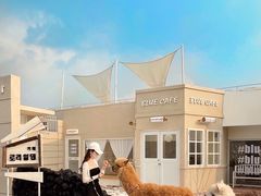 -Blue Concept Cafe&Farm·關於藍