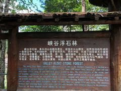 -峡谷浮石林景区