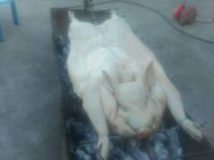 -老字号黄妹火盆烧烤