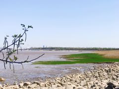 -上海吴淞炮台湾国家湿地公园