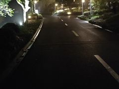 -东航云逸酒店(九溪烟树店)