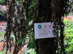 -赤水丹霞旅游区·佛光岩