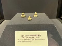 -北京周口店北京人遗址博物馆