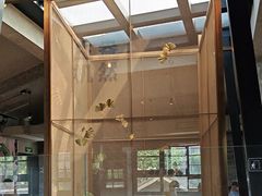 -星巴克臻选(成都宽窄巷子店)