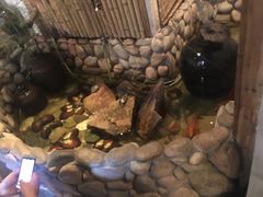 -馬蘭花開(车站大道店)
