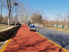 -大兴滨河森林公园