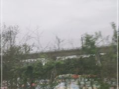 -秀丽东方