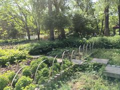 -黑龙江省森林植物园