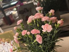 -海底捞火锅(高科广场店)