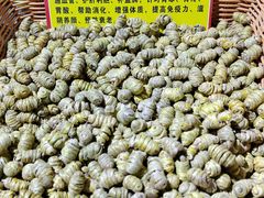-中国农业博物馆