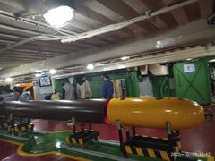 -泰达航母主题公园