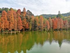 -广州市白云山风景名胜区