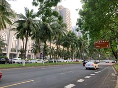 -万绿园