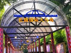 -广州长隆国际大马戏