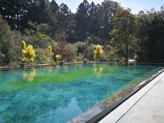 -和顺柏联温泉