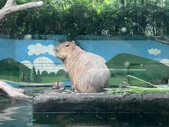 -广州长隆野生动物世界
