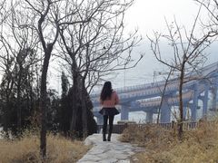 -星海湾跨海大桥