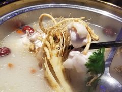 鲜人参火锅-千岛蚝高压锅生蚝·人参火锅(白云万达店)