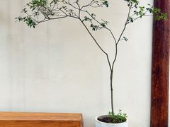 -邊渡咖啡