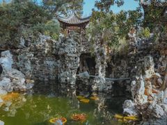 -渌洋湖湿地公园