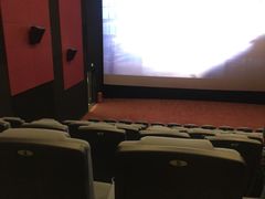 -红星电影世界上海张江绿地店