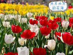 -香蜜公园