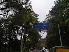 -铁山坪森林公园