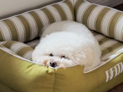 -comecome来吧宠物(奥克斯中心店)