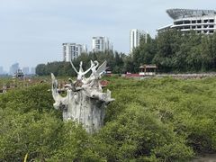 -北海金海湾红树林生态旅游区