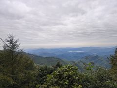 -莫干山风景区