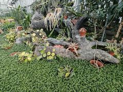 -国家植物园