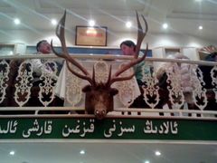 android_upload_pic-阿拉丁新疆风味餐厅·清真(罗廊巷店)