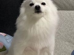 -西安市未央区汉城畜牧兽医站