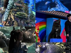 -成都浩海立方海洋公园