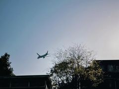 -成都南湖公园